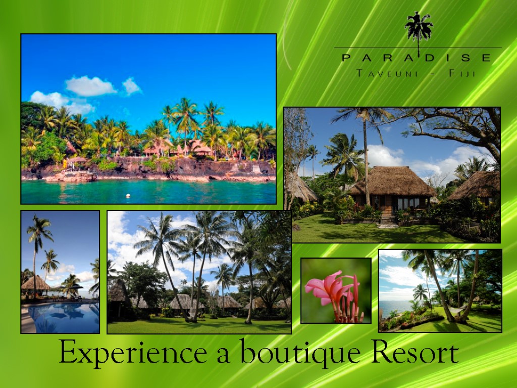 Experience a boutique Resort
